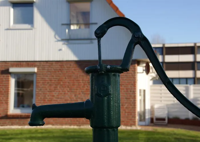 Kuestenperle Kalifornien